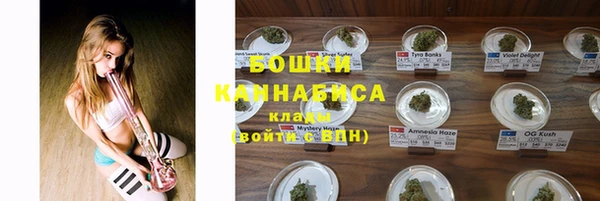 СК Балахна