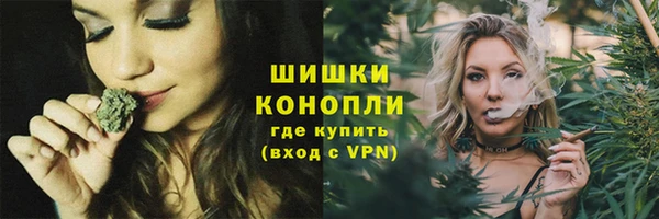твердый Аркадак