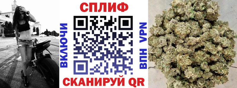 Бошки марихуана MAZAR  Белинский 